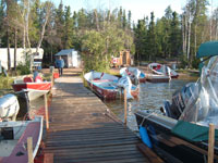 Along the dock